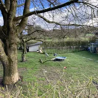 img_4733.jpeg
